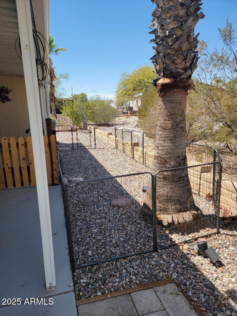 3806 side yard