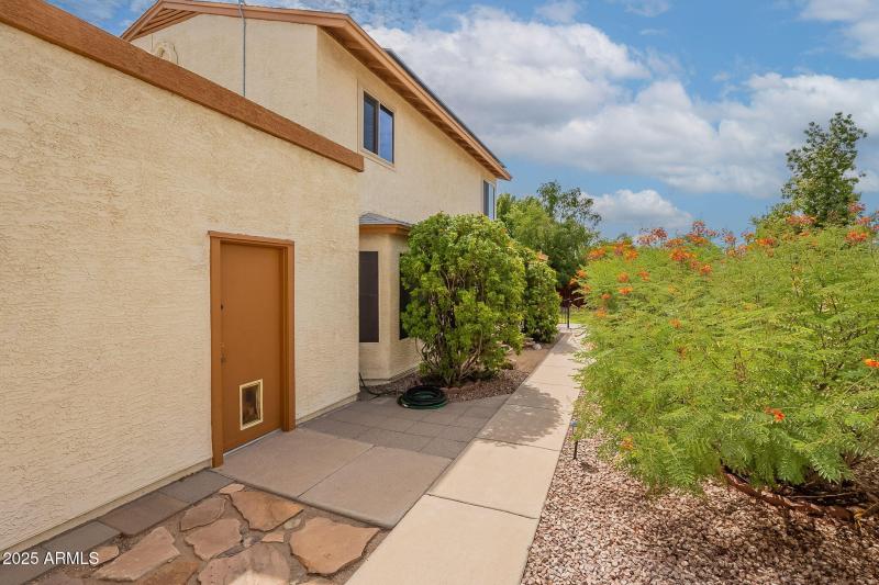 Side yard inside front gate.