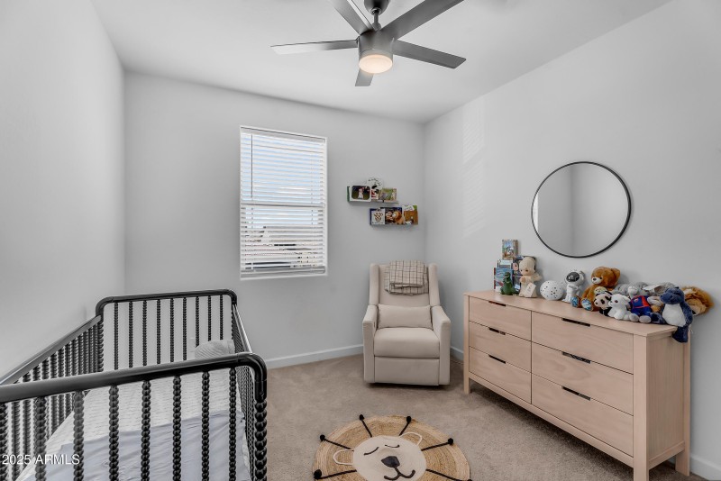 50-print-Serpentine-50