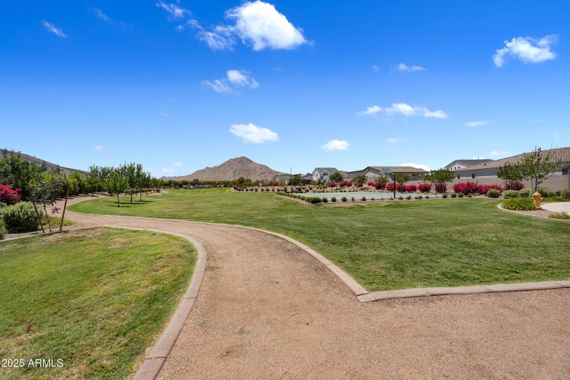 85-print-SerpentineNeighborhood-16