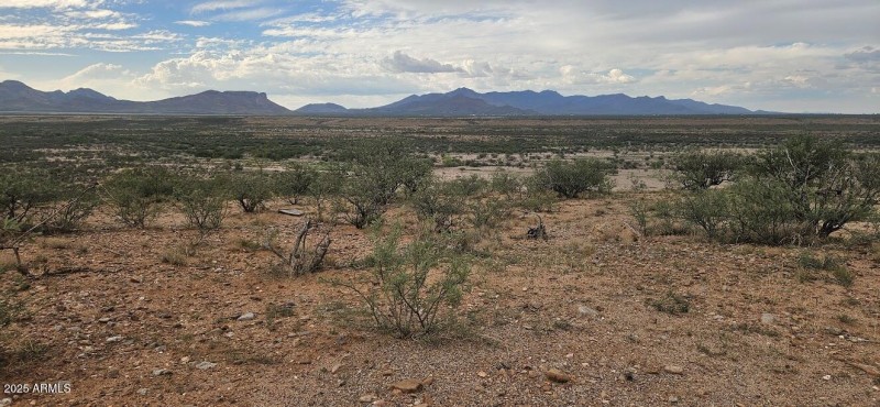 c3d5c93f-ddeb-4cf0-acc0-67f87dd0a1d1-cop