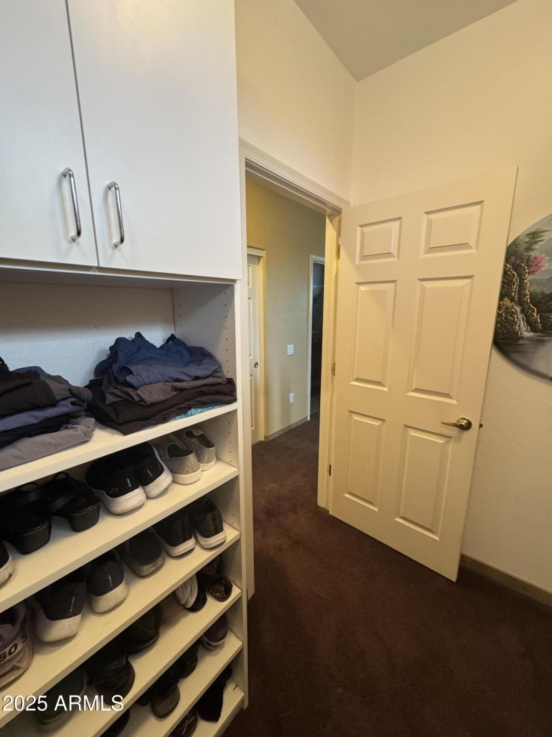 So Many Shelves
