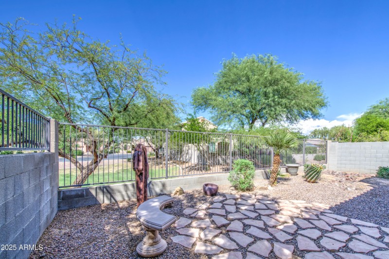 Back Yard