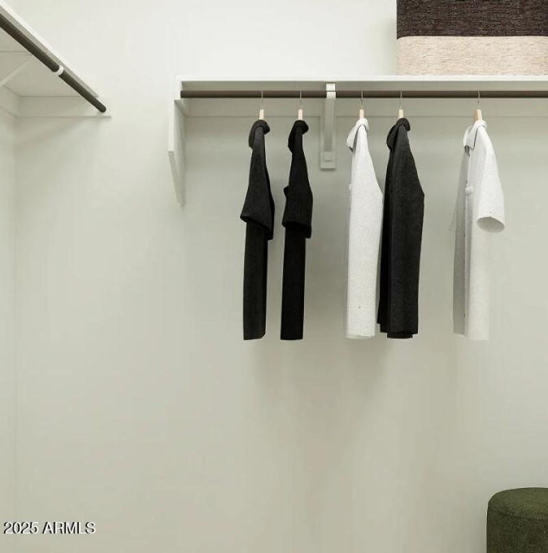 Owners Walk in Closet