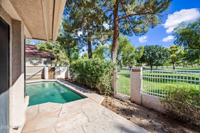 29 Backyard 2