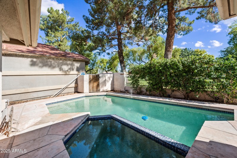 31 Backyard Pool