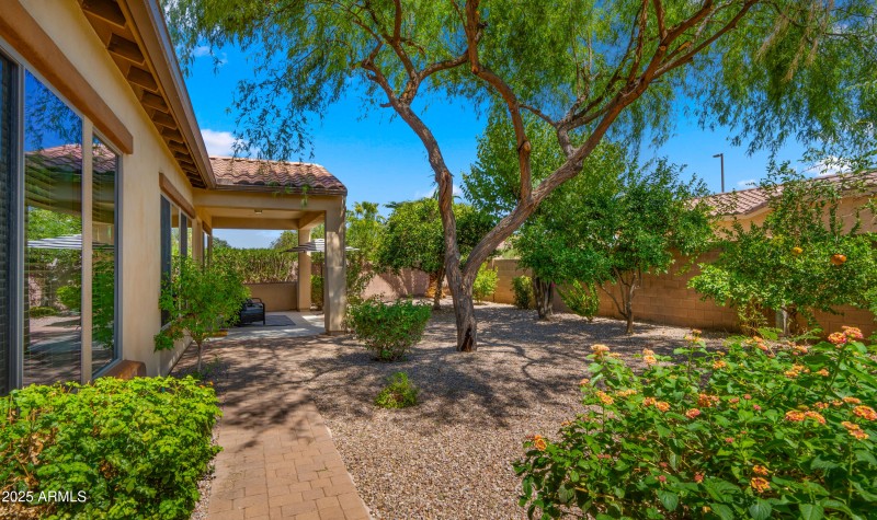 Beautifully Private Yard