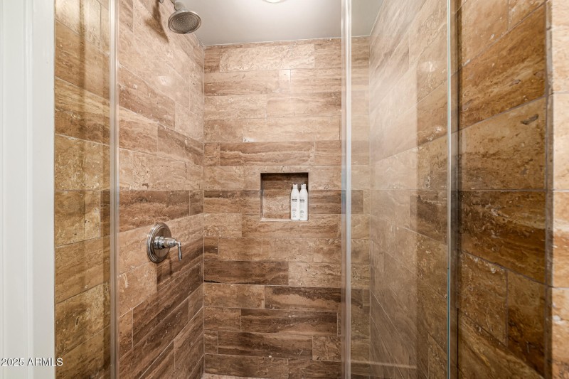 Primary Shower
