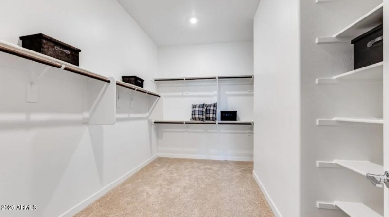 Owners Walk in Closet