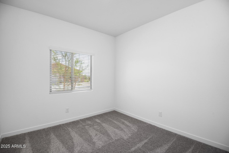 Southwest_Ash_A_R_015