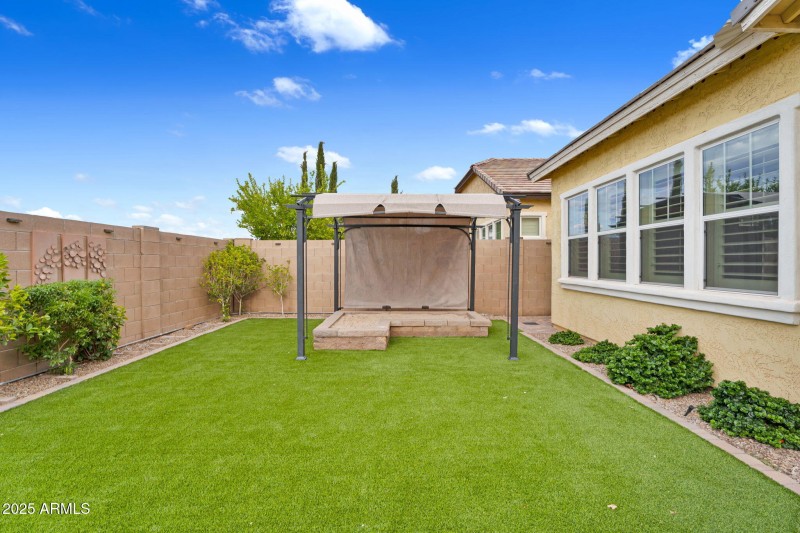 Backyard