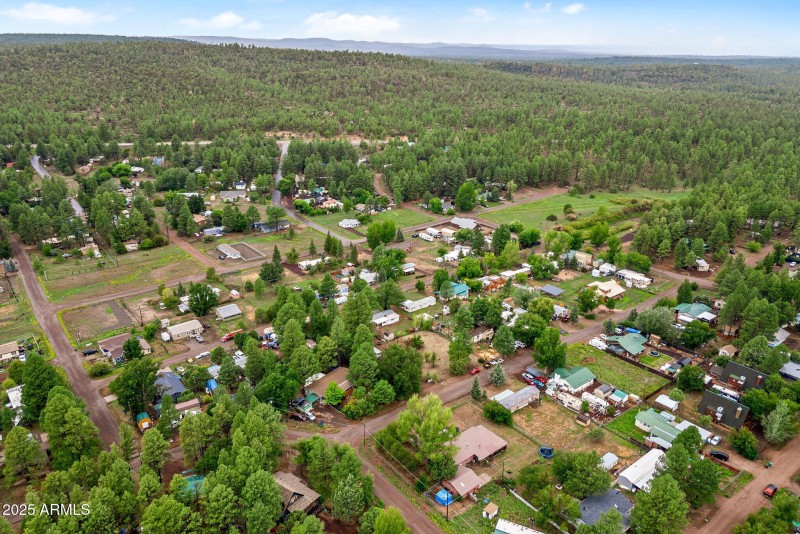 4328ForestGladeDr-ShowLow-AZ-29