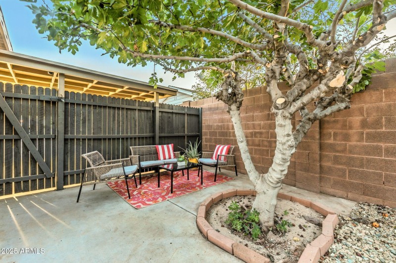 62-web-or-mls-Mulberry-62