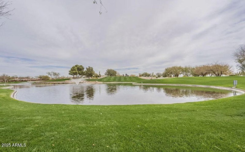 Pond at Entrance