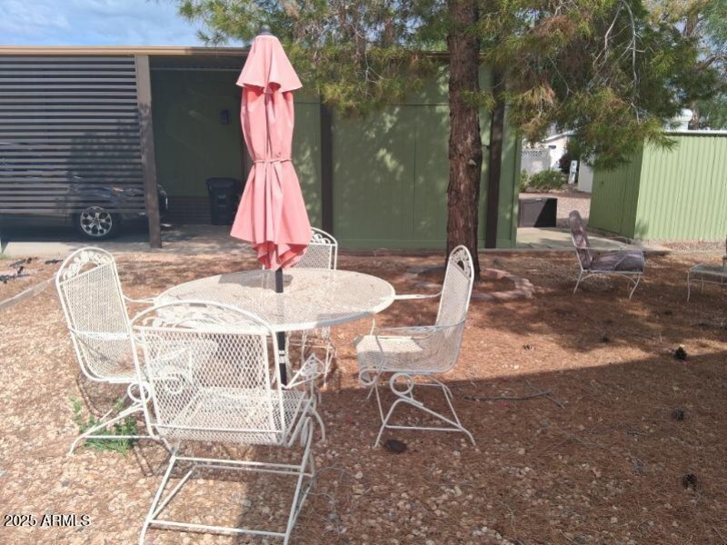 back yard