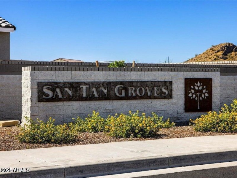 San Tan Groves