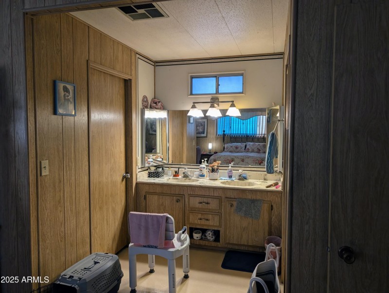 C50-Vanity in Primary Suite