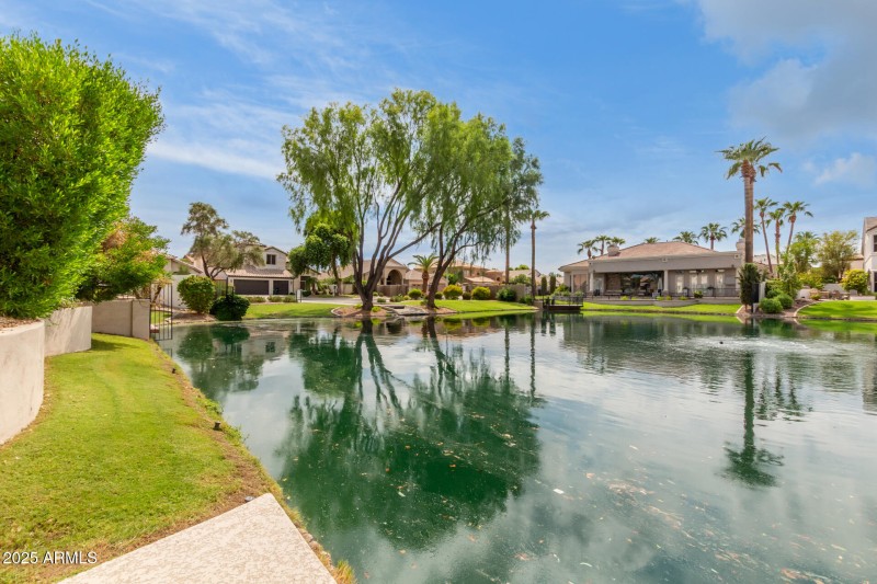 60 Hackberry