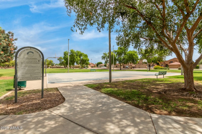 64 Hackberry