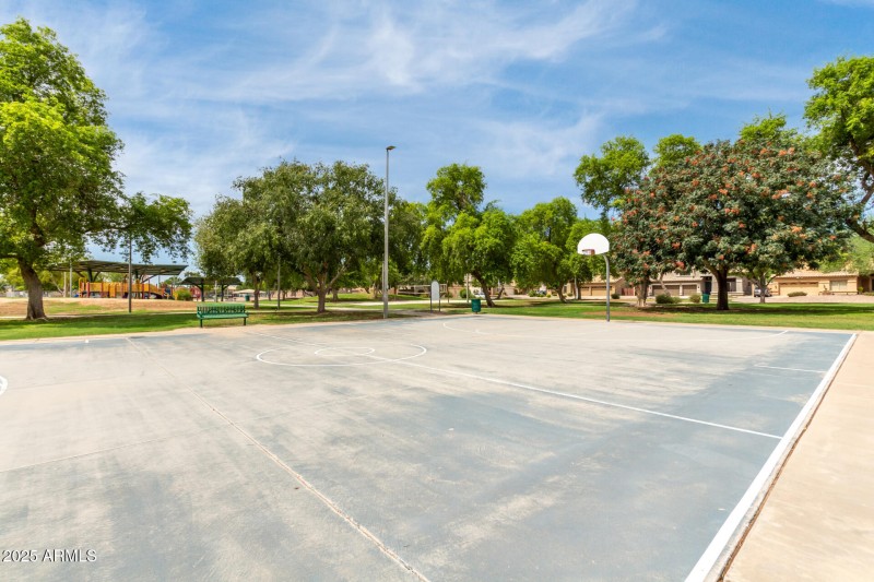 65 Hackberry