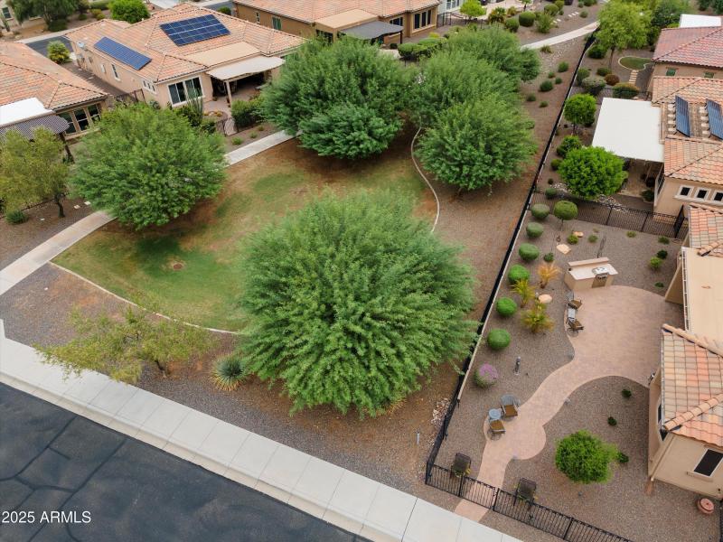 41-Aerial