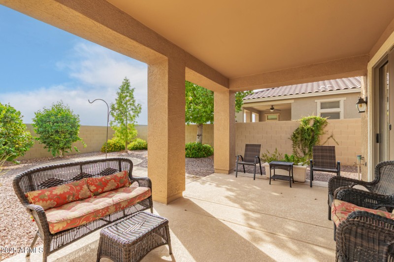 45 Backyard