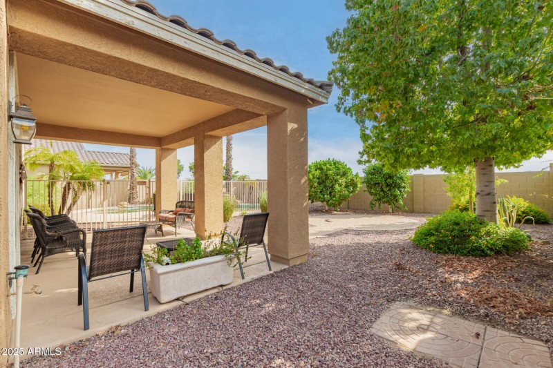 46 Backyard