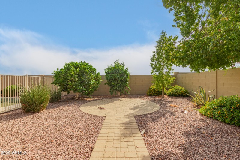 47 Backyard