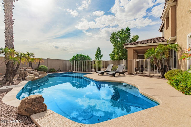 50 Backyard