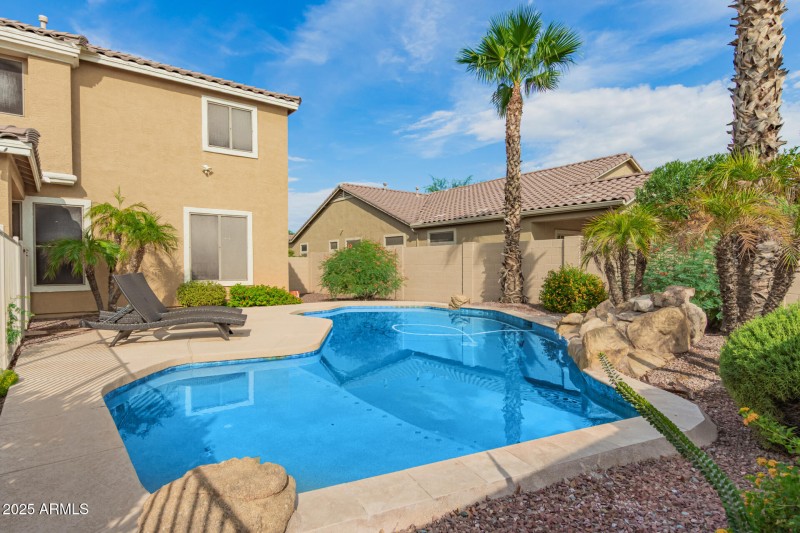 51 Backyard