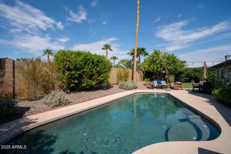 Pool and Lounge Area