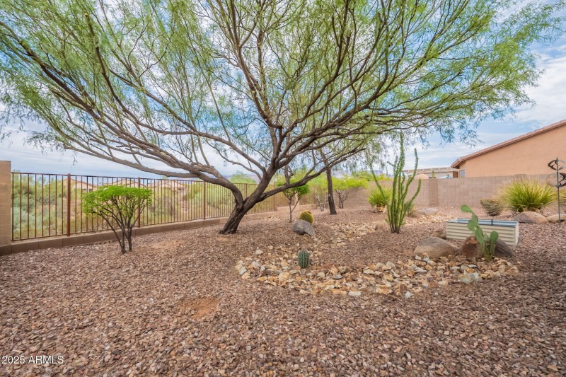 35-web-or-mls-Desert-35