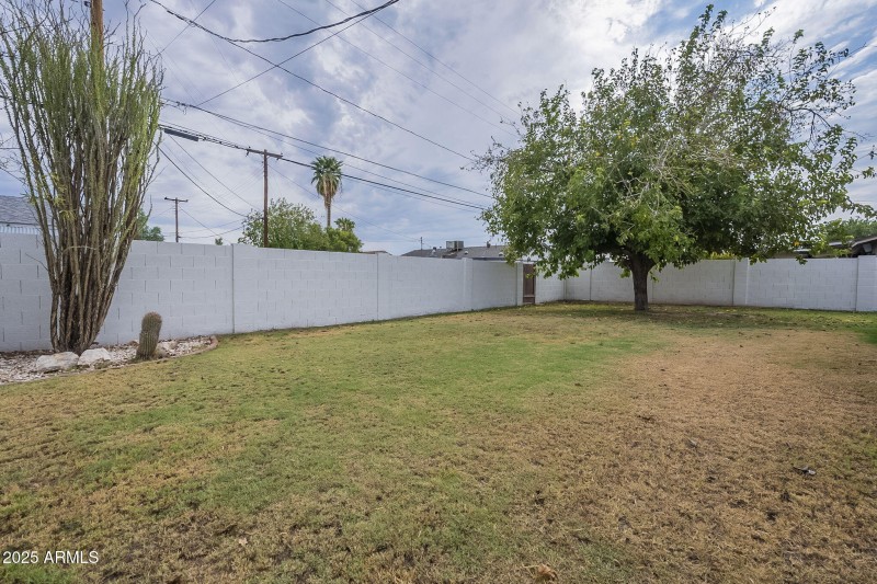 Spacious Backyard