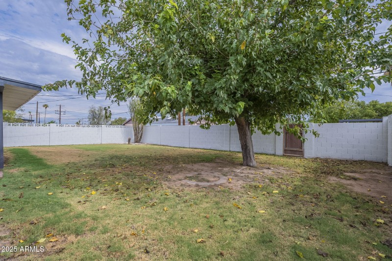 Spacious Backyard