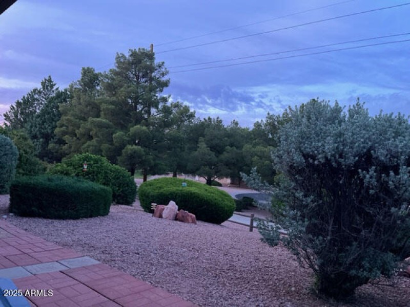 3a - backyard towards park