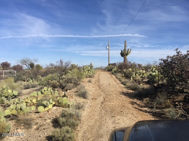 Driveway