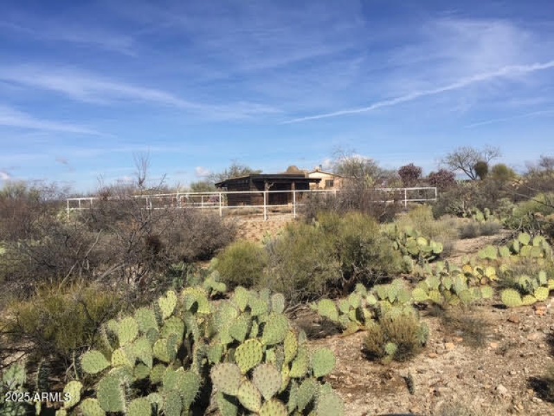 Horse Corral