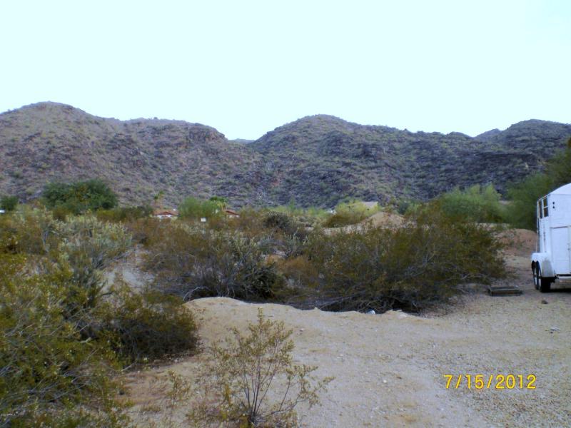 South View
