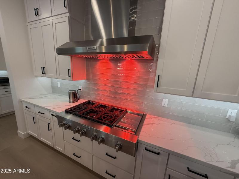 Professional Gas Range