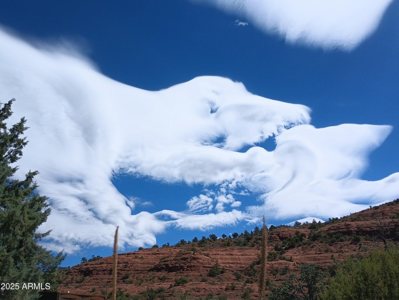 Dinosaur Cloud