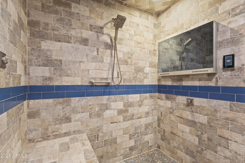 Primary Shower