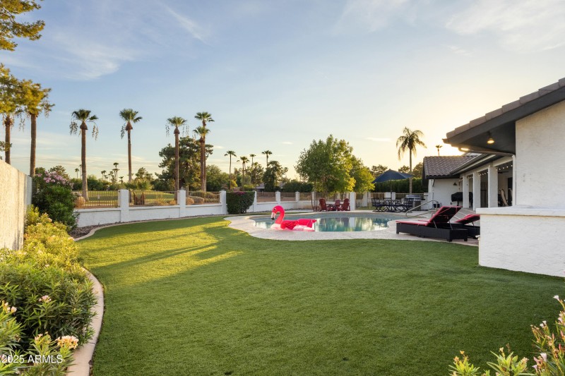 Backyard