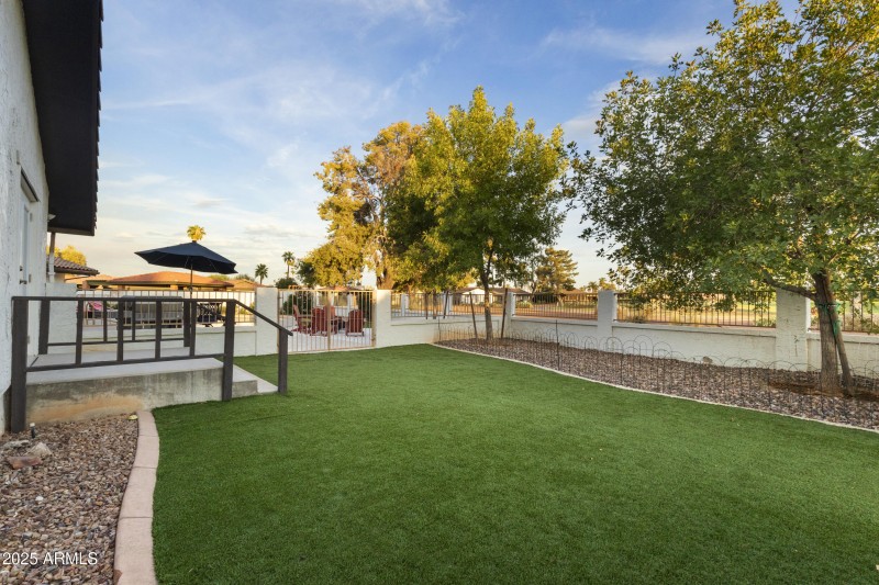 Backyard