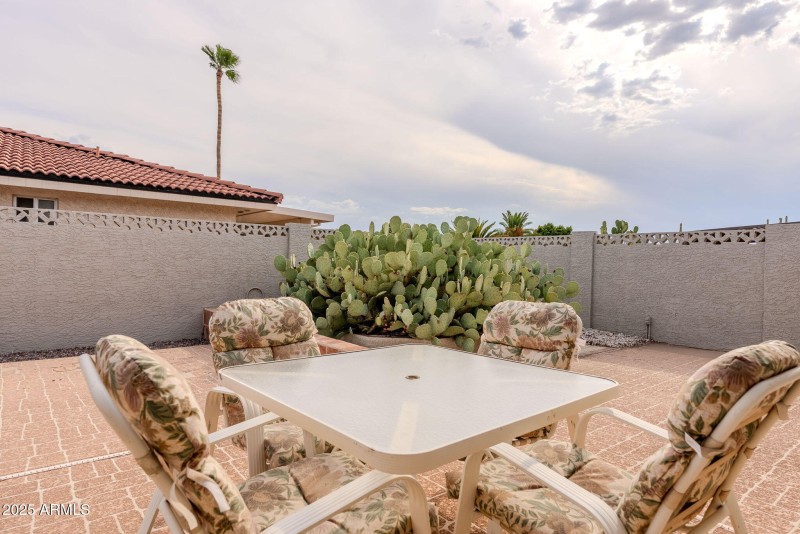 South Backyard