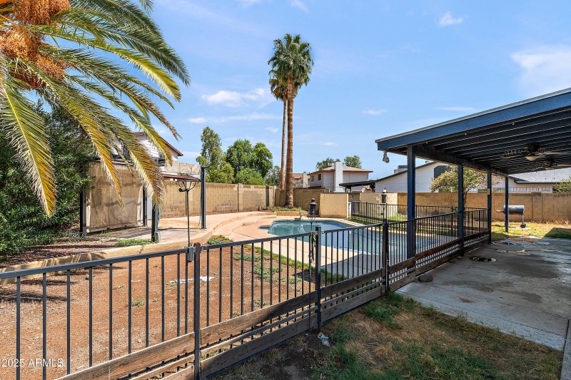 Backyard