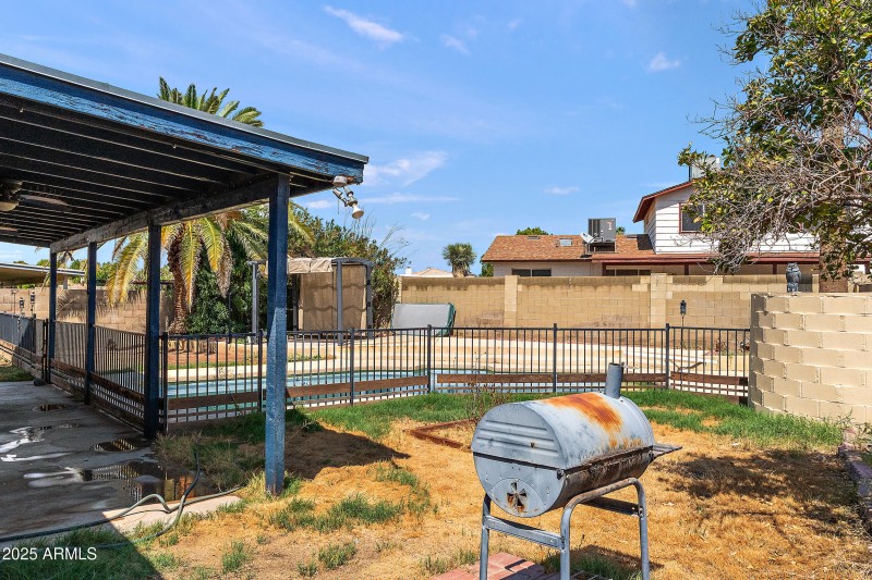 Backyard