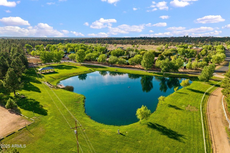POND AT THE PARK