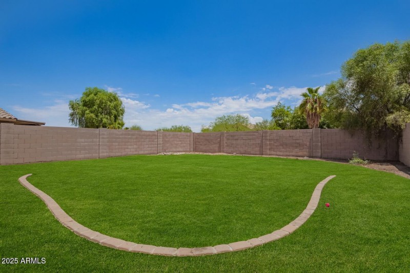 silverlnbackyardgrass