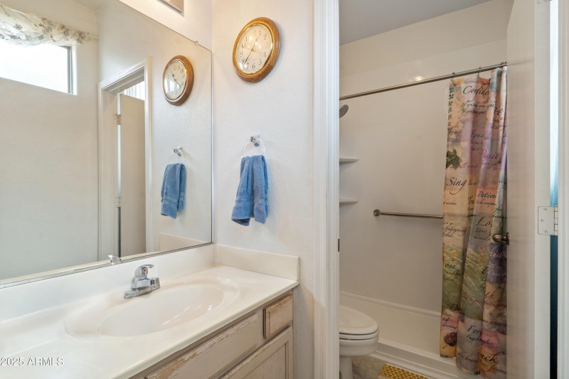 Owner's Bath