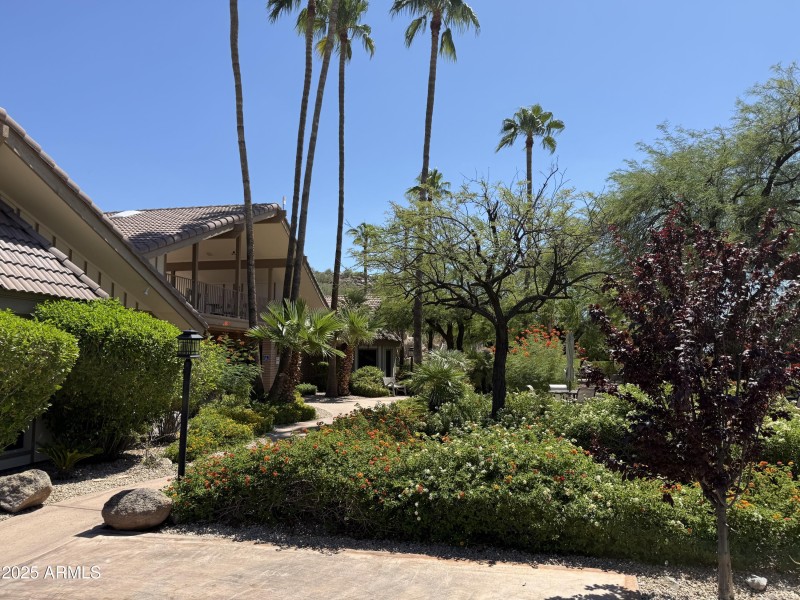 Clubhouse
